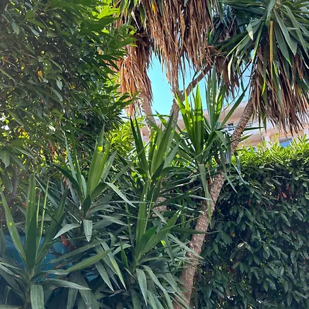 Beachside With Pool & Garden In Juan Les Pins