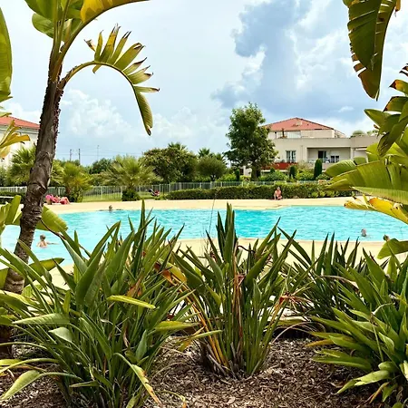 Apartment Beachside With Pool & Garden In Juan Les Pins *