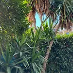 Beachside With Pool&garden In Juan Les Pins