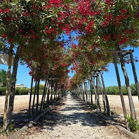 Beachside With Pool & Garden In Juan Les Pins Appartement Antibes