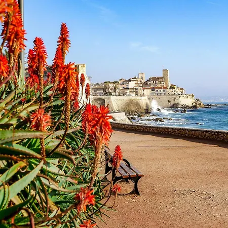 Beachside With Pool & Garden In Juan Les Pins Antibes
