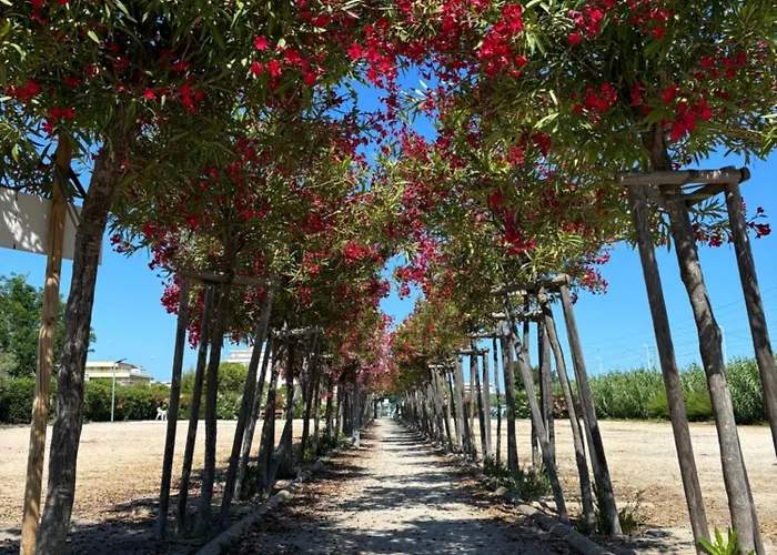 Beachside With Pool & Garden In Juan Les Pins Διαμέρισμα Αντίμπ